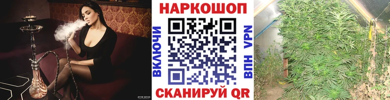 Где купить наркоту Лакинск Бошки Шишки  СОЛЬ  ГАШИШ  МЕФ  Амфетамин  КОКАИН 