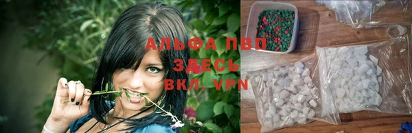 амф Кодинск