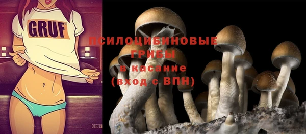 твердый Краснотурьинск