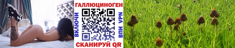 Псилоцибиновые грибы Psilocybine cubensis Лакинск